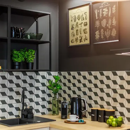 Emihouse Krakovska アパート